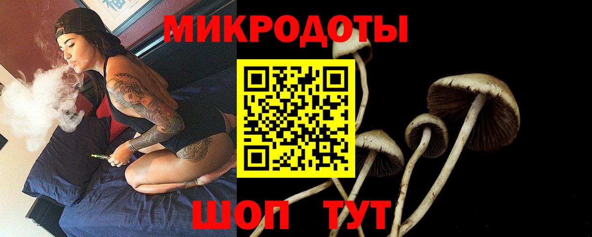 Туапсе  Галлюциногенные грибы прущие грибы  наркотики  Вход с VPN 